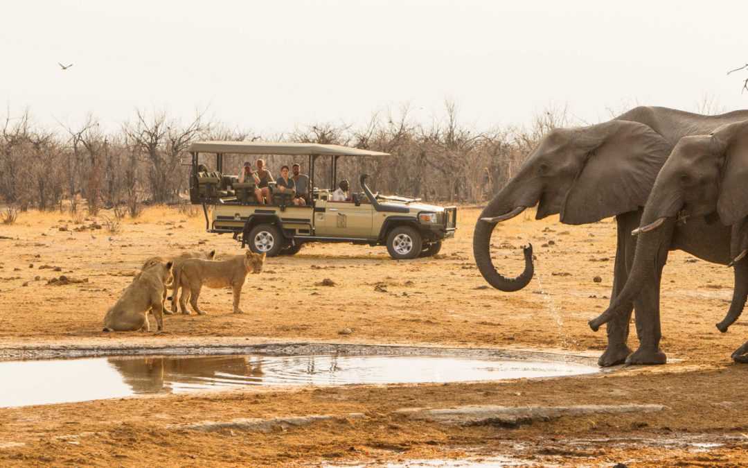 Experience It – Savuti, Botswana: Wild & Unpredictable