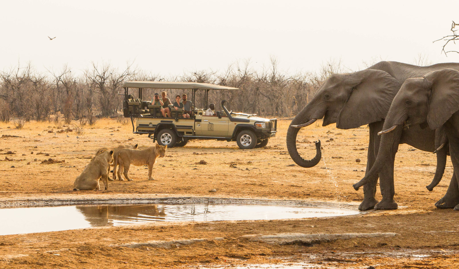 Experience It - Savuti, Botswana: Wild & Unpredictable | MackAir