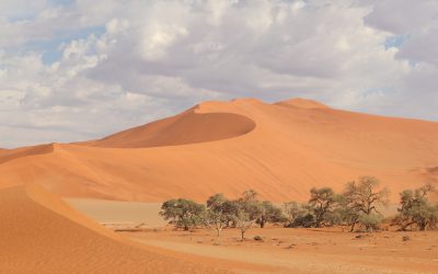 Experience It: Sossusvlei, Namibia: What To Expect