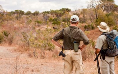 Experience It Botswana: Take A Walk On The Wild Side – Botswana Walking Safaris