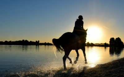 Experience It Botswana: Gallop Across The Wild Frontier On A Horseback Safari